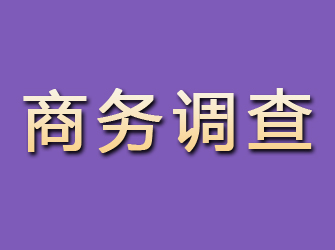 泌阳商务调查